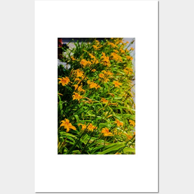 A Pack of Tiger Lilies Wall Art by srosu
